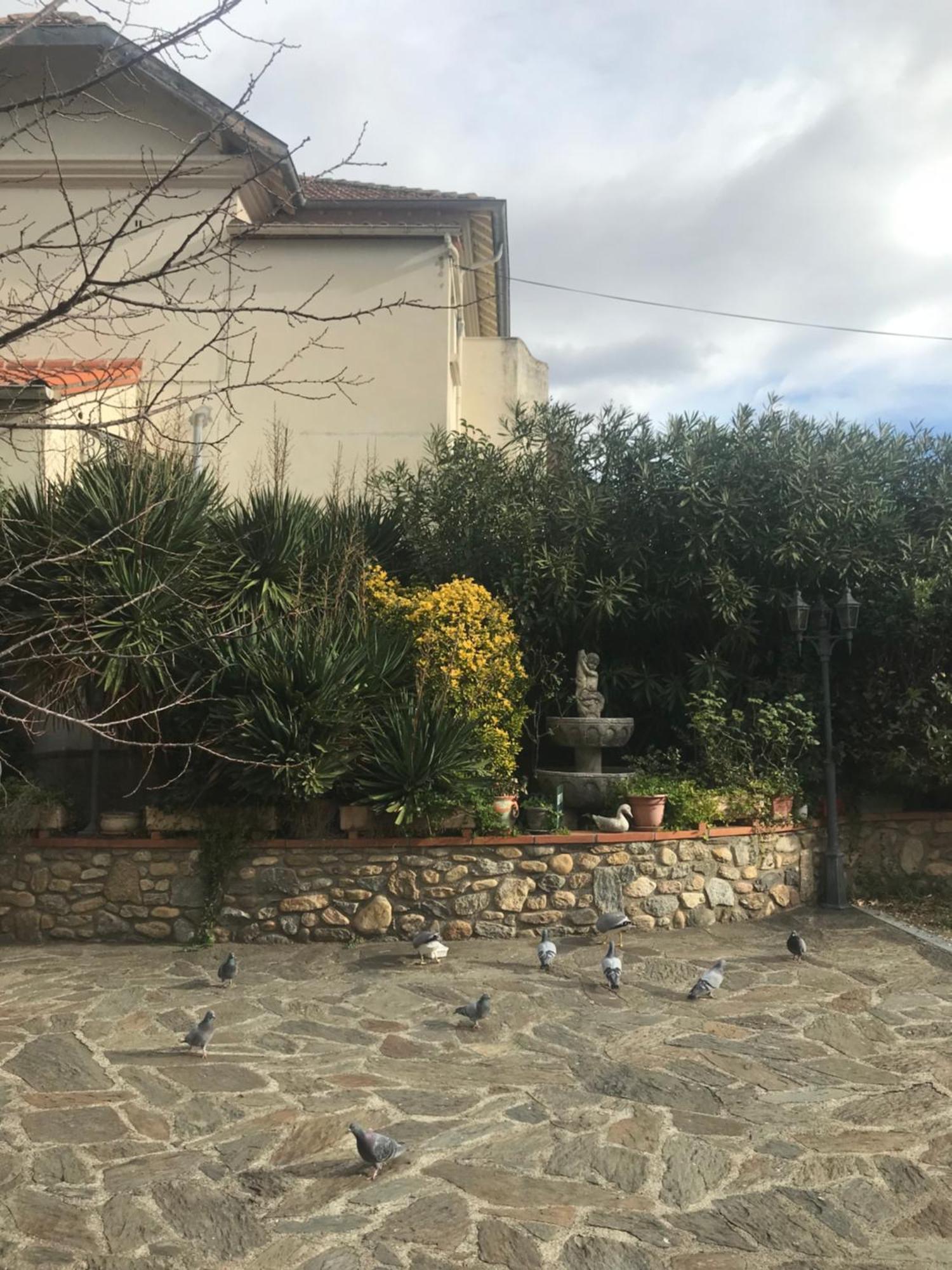 Hebergements A La Rive, Accueil Ouvert Tous Les Jours Jusqu'A 20H00 Dernier Delai, Depuis 30 Ans ! Reserver Ici Svp ! Merci ! Aucun Reglement A Distance Accepte, Paiement Par Cb, Especes, Cheque Ou Cheques-Vacances Imperativement A La Remise Des Clef Amélie-les-Bains-Palalda Zewnętrze zdjęcie